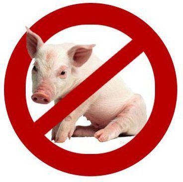 porc-impur-loi-torah