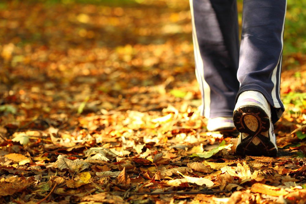 Woman walking cross country trail in autumn forest